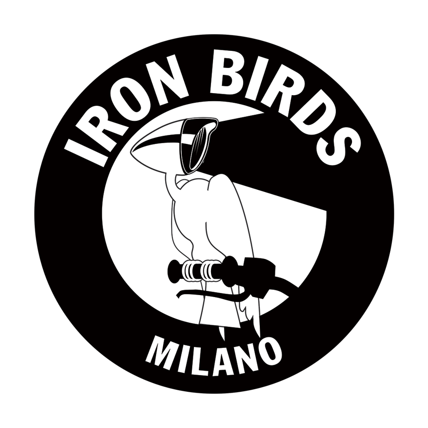 Logo Iron Birds
